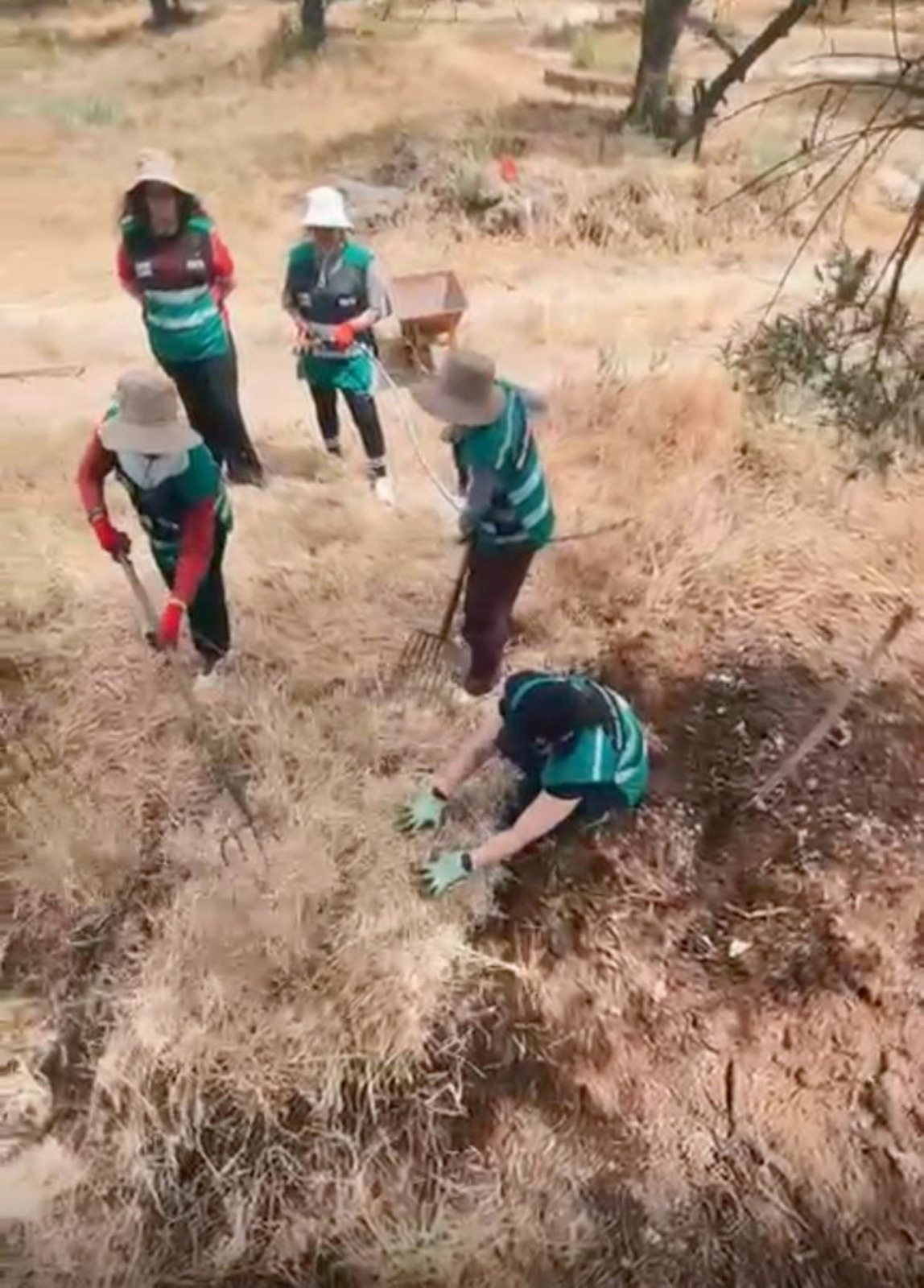 You are currently viewing «لوياك» نظمت رحلة تعليمية شبابية إلى البرتغال لتعزيز مفاهيم الزراعة المستدامة