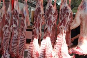 أسعار اللحوم بأسواق مطروح اليوم الأحد 19-10-2025