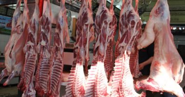 You are currently viewing أسعار اللحوم بأسواق مطروح اليوم الأحد 19-10-2025