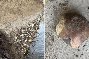 اكتشاف مذهل لجمجمة عمرها أكثر من 4 آلاف عام على ضفاف نهر بأمريكا