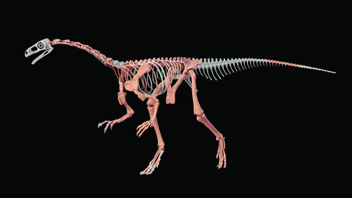 You are currently viewing اكتشاف بقايا ديناصور عاش في جبال الإنديز قبل 230 مليون سنة