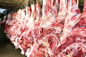 أسعار اللحوم اليوم الخميس 20 نوفمبر 2025 في محلات الجزارة والمنافذ