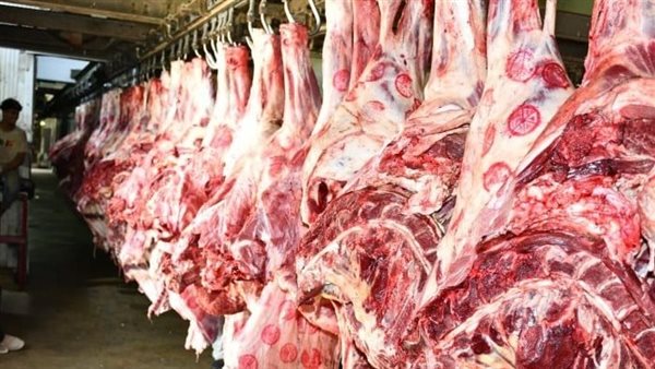 You are currently viewing أسعار اللحوم اليوم الخميس 20 نوفمبر 2025 في محلات الجزارة والمنافذ